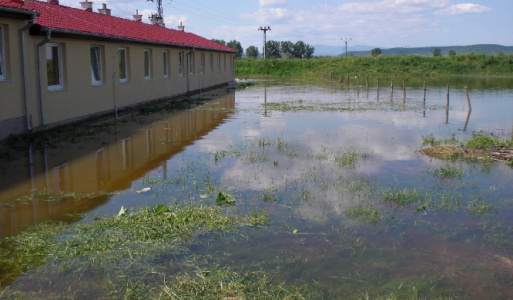 Jeseň 2019 