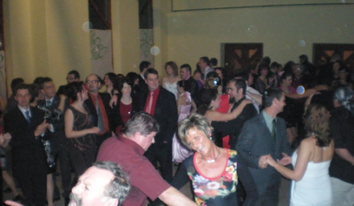 		PLES - BÁL 2013 