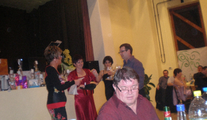 		PLES - BÁL 2013 