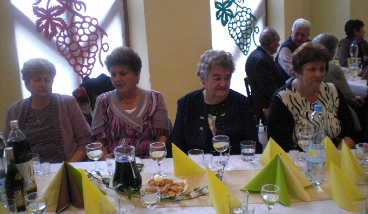 Deň dôchodcov 2013