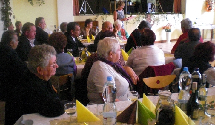 Deň dôchodcov 2013